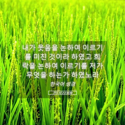 Picture 05 - 전도서 2:2 KOR - 내가 웃음을 논하여 이르기를 미친 - Bible Verse Picture