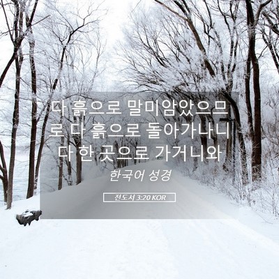 Picture 05 - 전도서 3:20 KOR - 다 흙으로 말미암았으므로 다 흙으로 - Bible Verse Picture