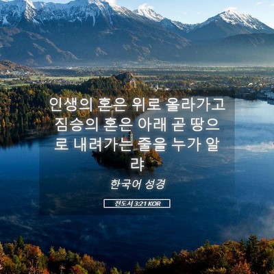 Picture 05 - 전도서 3:21 KOR - 인생의 혼은 위로 올라가고 짐승의 - Bible Verse Picture