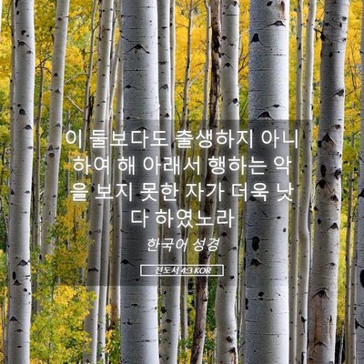 Picture 05 - 전도서 4:3 KOR - 이 둘보다도 출생하지 아니하여 해 - Bible Verse Picture