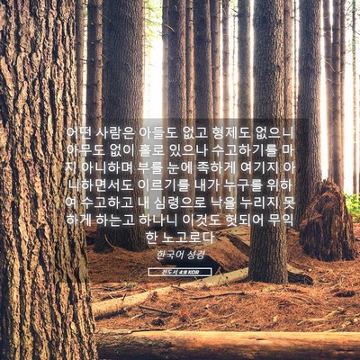 Picture 05 - 전도서 4:8 KOR - 어떤 사람은 아들도 없고 형제도 - Bible Verse Picture