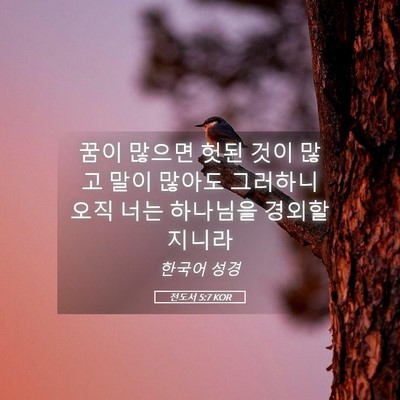 Picture 05 - 전도서 5:7 KOR - 꿈이 많으면 헛된 것이 많고 말이 - Bible Verse Picture
