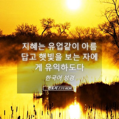 Picture 05 - 전도서 7:11 KOR - 지혜는 유업같이 아름답고 햇빛을 - Bible Verse Picture