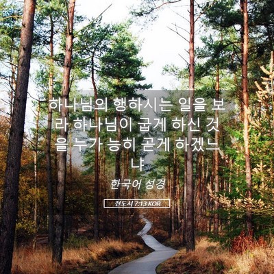 Picture 05 - 전도서 7:13 KOR - 하나님의 행하시는 일을 보라 - Bible Verse Picture