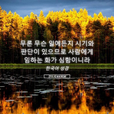 Picture 05 - 전도서 8:6 KOR - 무론 무슨 일에든지 시기와 판단이 - Bible Verse Picture
