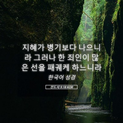 Picture 05 - 전도서 9:18 KOR - 지혜가 병기보다 나으니라 그러나 한 - Bible Verse Picture