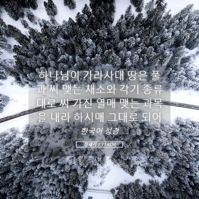 Picture 05 - 창세기 1:11 KOR - 하나님이 가라사대 땅은 풀과 씨 - Bible Verse Picture