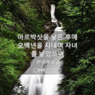 Picture 05 - 창세기 11:11 KOR - 아르박삿을 낳은 후에 오백년을 - Bible Verse Picture
