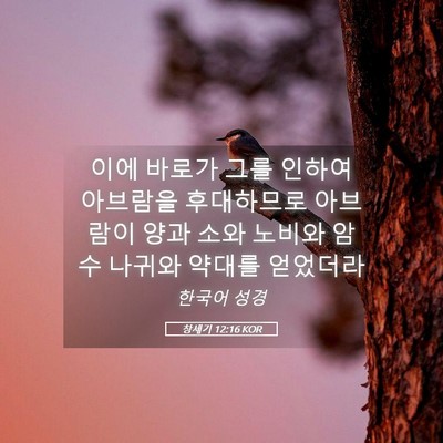 Picture 05 - 창세기 12:16 KOR - 이에 바로가 그를 인하여 아브람을 - Bible Verse Picture