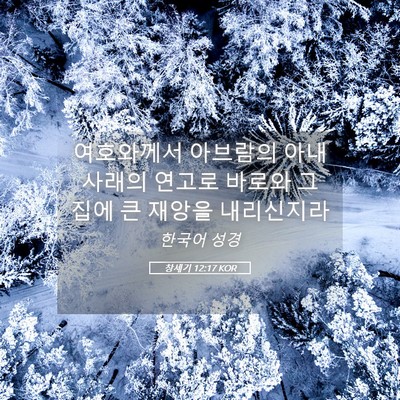 Picture 05 - 창세기 12:17 KOR - 여호와께서 아브람의 아내 사래의 - Bible Verse Picture