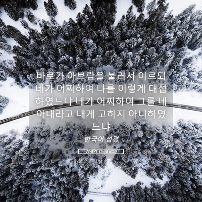 Picture 05 - 창세기 12:18 KOR - 바로가 아브람을 불러서 이르되 네가 - Bible Verse Picture