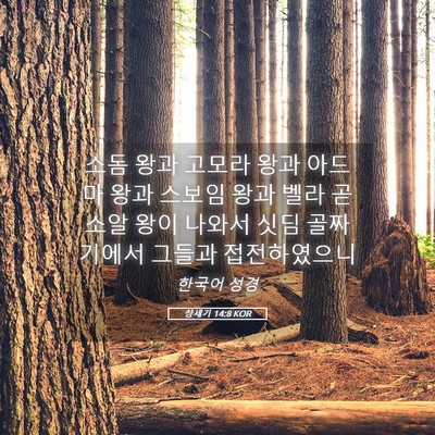 Picture 05 - 창세기 14:8 KOR - 소돔 왕과 고모라 왕과 아드마 왕과 - Bible Verse Picture