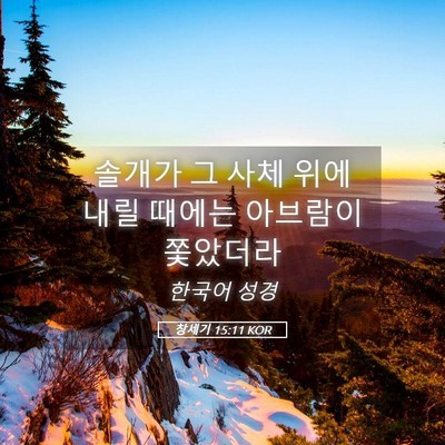 Picture 05 - 창세기 15:11 KOR - 솔개가 그 사체 위에 내릴 때에는 - Bible Verse Picture