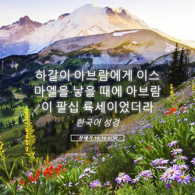 Picture 05 - 창세기 16:16 KOR - 하갈이 아브람에게 이스마엘을 낳을 - Bible Verse Picture