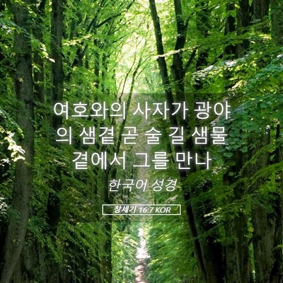 Picture 05 - 창세기 16:7 KOR - 여호와의 사자가 광야의 샘곁 곧 술 - Bible Verse Picture