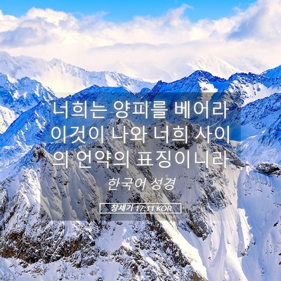Picture 05 - 창세기 17:11 KOR - 너희는 양피를 베어라 이것이 나와 - Bible Verse Picture
