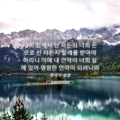 Picture 05 - 창세기 17:13 KOR - 너희 집에서 난 자든지 너희 돈으로 - Bible Verse Picture