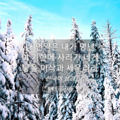 Picture 05 - 창세기 17:21 KOR - 내 언약은 내가 명년 이 기한에 - Bible Verse Picture