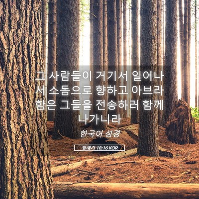 Picture 05 - 창세기 18:16 KOR - 그 사람들이 거기서 일어나서 - Bible Verse Picture