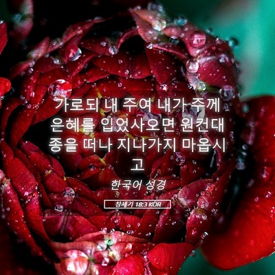 Picture 05 - 창세기 18:3 KOR - 가로되 내 주여 내가 주께 은혜를 - Bible Verse Picture
