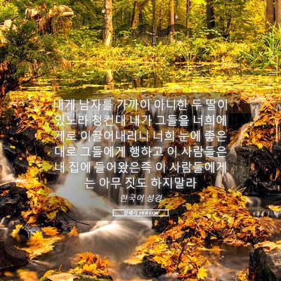 Picture 05 - 창세기 19:8 KOR - 내게 남자를 가까이 아니한 두 딸이 - Bible Verse Picture