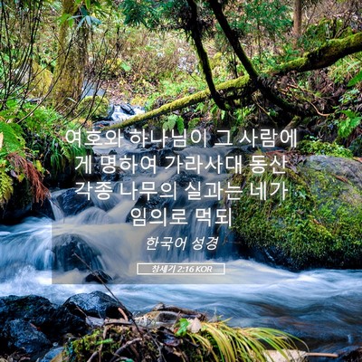 Picture 05 - 창세기 2:16 KOR - 여호와 하나님이 그 사람에게 명하여 - Bible Verse Picture