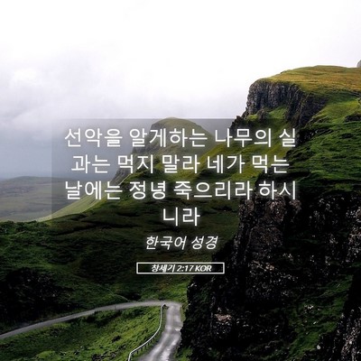 Picture 05 - 창세기 2:17 KOR - 선악을 알게하는 나무의 실과는 먹지 - Bible Verse Picture