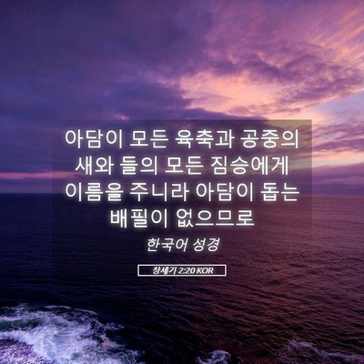 Picture 05 - 창세기 2:20 KOR - 아담이 모든 육축과 공중의 새와 - Bible Verse Picture