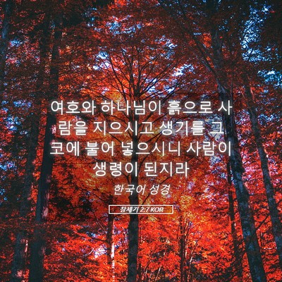 Picture 05 - 창세기 2:7 KOR - 여호와 하나님이 흙으로 사람을 - Bible Verse Picture