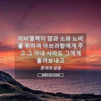 Picture 05 - 창세기 20:14 KOR - 아비멜렉이 양과 소와 노비를 취하여 - Bible Verse Picture