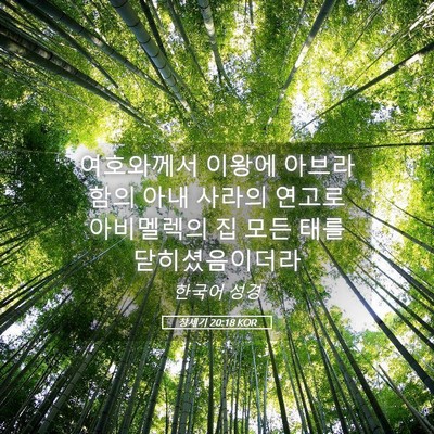 Picture 05 - 창세기 20:18 KOR - 여호와께서 이왕에 아브라함의 아내 - Bible Verse Picture