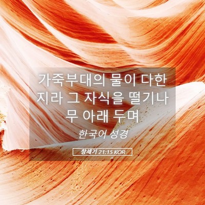 Picture 05 - 창세기 21:15 KOR - 가죽부대의 물이 다한지라 그 자식을 - Bible Verse Picture
