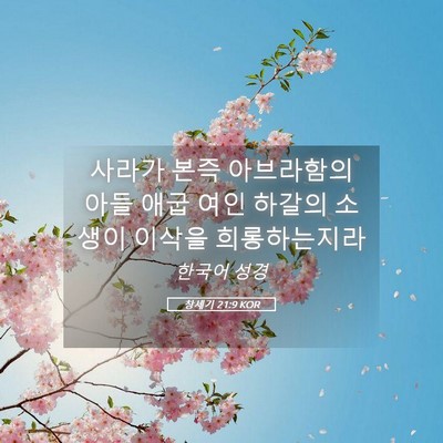 Picture 05 - 창세기 21:9 KOR - 사라가 본즉 아브라함의 아들 애굽 - Bible Verse Picture