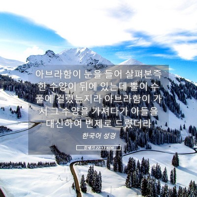 Picture 05 - 창세기 22:13 KOR - 아브라함이 눈을 들어 살펴본즉 한 - Bible Verse Picture