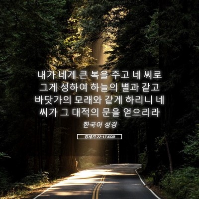 Picture 05 - 창세기 22:17 KOR - 내가 네게 큰 복을 주고 네 씨로 그게 - Bible Verse Picture