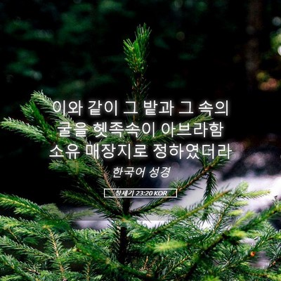 Picture 05 - 창세기 23:20 KOR - 이와 같이 그 밭과 그 속의 굴을 - Bible Verse Picture