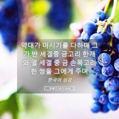 Picture 05 - 창세기 24:22 KOR - 약대가 마시기를 다하매 그가 반 - Bible Verse Picture