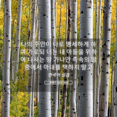 Picture 05 - 창세기 24:37 KOR - 나의 주인이 나로 맹세하게 하여 - Bible Verse Picture