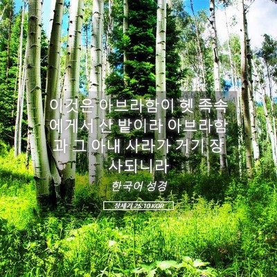 Picture 05 - 창세기 25:10 KOR - 이것은 아브라함이 헷 족속에게서 산 - Bible Verse Picture