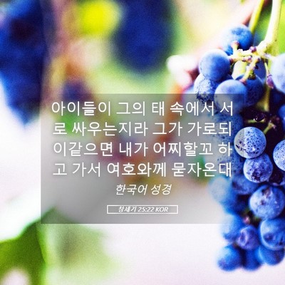 Picture 05 - 창세기 25:22 KOR - 아이들이 그의 태 속에서 서로 - Bible Verse Picture
