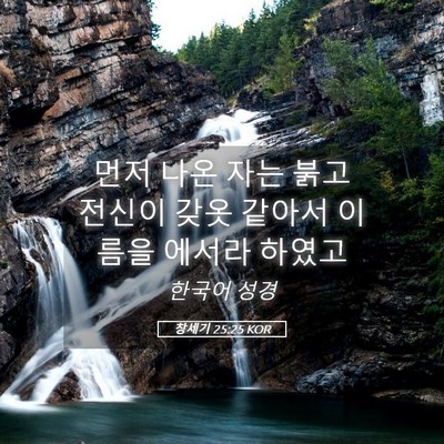Picture 05 - 창세기 25:25 KOR - 먼저 나온 자는 붉고 전신이 갖옷 - Bible Verse Picture