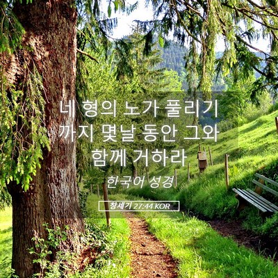 Picture 05 - 창세기 27:44 KOR - 네 형의 노가 풀리기 까지 몇날 동안 - Bible Verse Picture