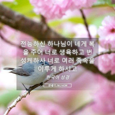 Picture 05 - 창세기 28:3 KOR - 전능하신 하나님이 네게 복을 주어 - Bible Verse Picture