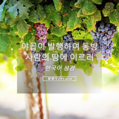 Picture 05 - 창세기 29:1 KOR - 야곱이 발행하여 동방 사람의 땅에 - Bible Verse Picture