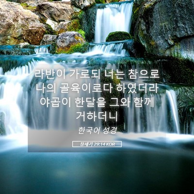 Picture 05 - 창세기 29:14 KOR - 라반이 가로되 너는 참으로 나의 - Bible Verse Picture