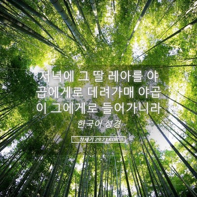 Picture 05 - 창세기 29:23 KOR - 저녁에 그 딸 레아를 야곱에게로 - Bible Verse Picture