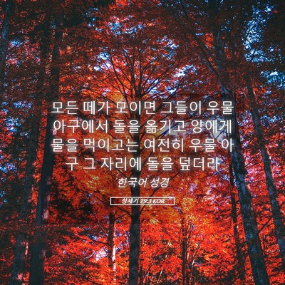 Picture 05 - 창세기 29:3 KOR - 모든 떼가 모이면 그들이 우물 - Bible Verse Picture