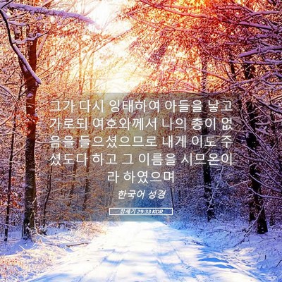 Picture 05 - 창세기 29:33 KOR - 그가 다시 잉태하여 아들을 낳고 - Bible Verse Picture