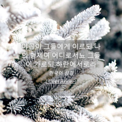 Picture 05 - 창세기 29:4 KOR - 야곱이 그들에게 이르되 나의 형제여 - Bible Verse Picture