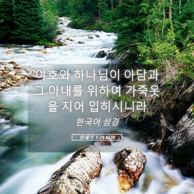 Picture 05 - 창세기 3:21 KOR - 여호와 하나님이 아담과 그 아내를 - Bible Verse Picture